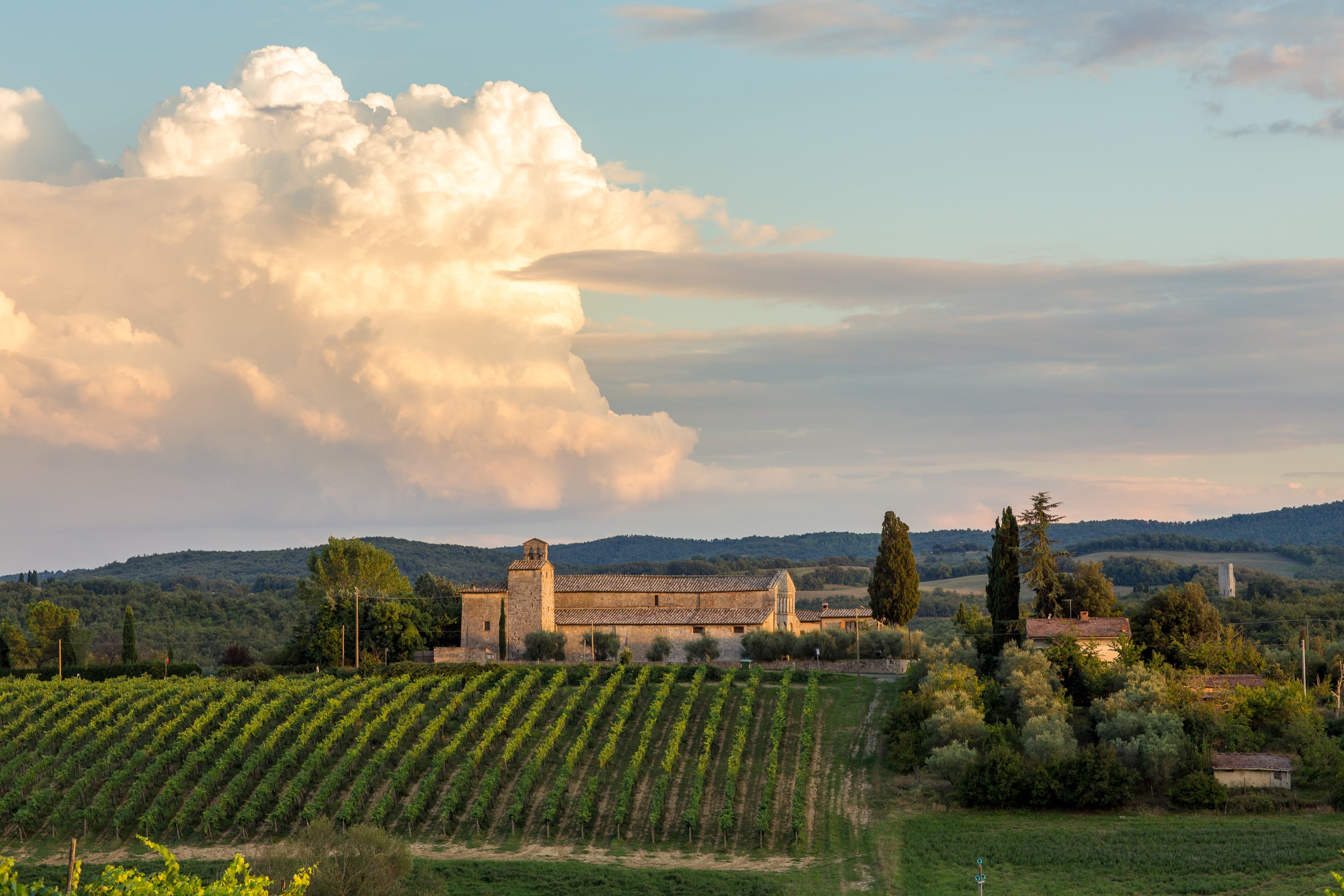 Tuscan castle in vineyards at golden hour