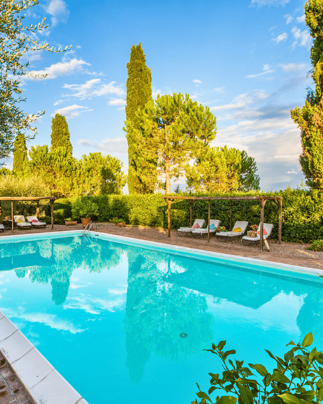 The pool ringed by cypress and olive trees